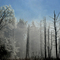 Ice Storm in NH Dec 12 08