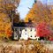 Fall colors