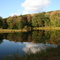 Road Side Pond