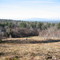 West View from Flat Mtn