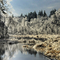 Ice Storm in NH Dec 12 08