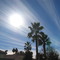 Arizona Sky