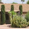 Scottsdale,