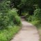 Wapack trail to Mt. Watatic Ashburnham Mass.