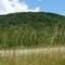 Mount Watatic from Route 119