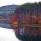 Damsite 35 - New Ipswich, NH
