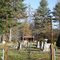 Riverside Grave Yard.