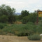 Wenden entry signs