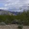 From Salome Road, Arizona