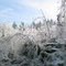 Ice storm Dec 2008, Ashby, MA
