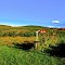 Vermont