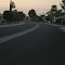Coyote in the road, Sun City AZ USA March 2012