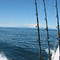 Cook Inlet, AK, USA