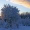 Winter Morning near Ninilchik