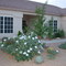 2004 - Surprise, Arizona