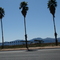 2009 - White Tank Mountains from Reems Rd