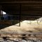 Underpass Graffiti