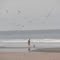 Avalon beach at 20th street, early evening