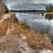 Leaving the Bogs