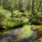 Wading River, NJCF Franklin Parker Preserve