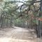 Brenden Byrne State Forest
