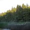 Oswego River at Put In