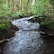 Oswego River Tributary Stream
