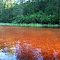Oswego River Cedar Water