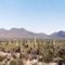 Sonoran Desert National Monument