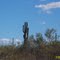 It's Arizona