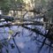 Cedar Swamp Along The Oswego River