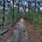 Martha Road