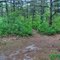 Crossing Another Old Trail