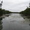 Lake Absegami from Bass River  State Forest Bridge