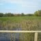Wheelabrator Wildlife Refuge