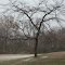 Rivergate Park Early Winter