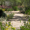 Tohono Chul Park