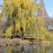 Meadow Lake