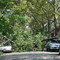 Tornado in Bay Ridge Brooklyn