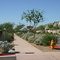 Phoenix suburbs