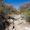 Montosa Canyon