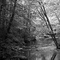 Rahway River, West Branch, South Mountain Reservation