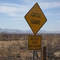 Cattle Guard, Elfrida, AZ