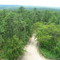 Apple Pie Hill from Tower