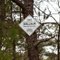 Batona Trail  Entering the Franklin Parker Preserve