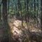 Batona Trail