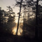Wading River with Early Morning Mist