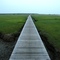 Boardwalk