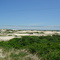 Sandy Neck