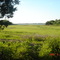 View from Misha's grandfather estates in Barnstable